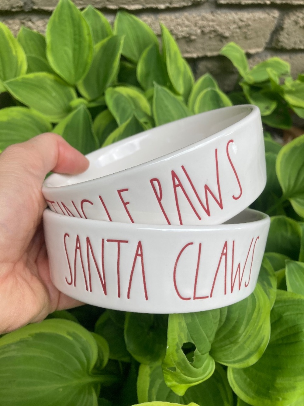 Jingle Paws/Santa Claws Bowls Set of 2